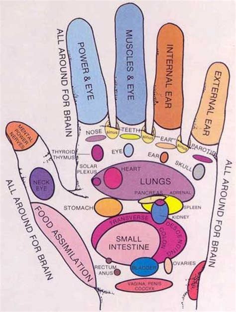 Medical and Health Science: Hand reflexology!!