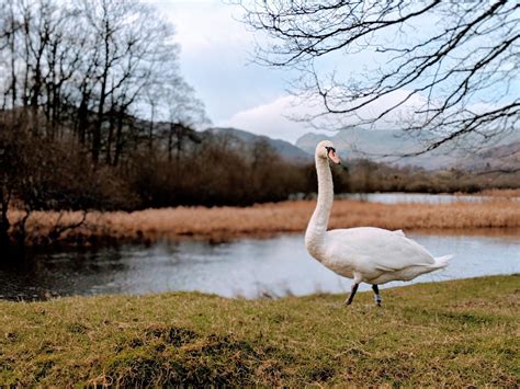 Living in Milton Keynes: 10 Interesting Facts About Milton Keynes