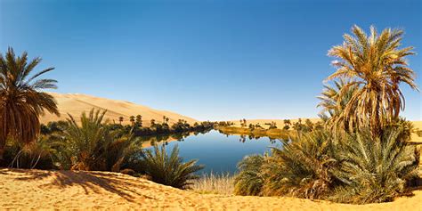 Royalty Free Desert Oasis Pictures, Images and Stock Photos - iStock