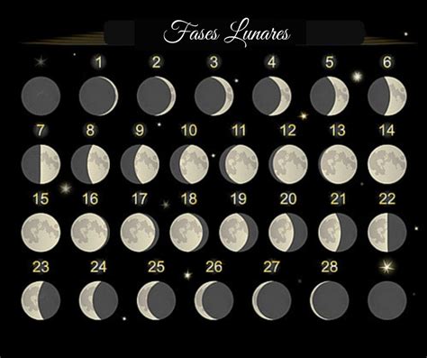 Fases Da Lua Calendario - IMAGESEE