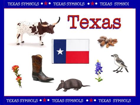 Texas Symbols Free Activities online for kids in Kindergarten by Cici Lampe