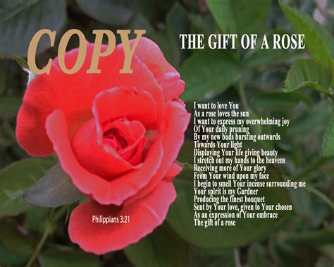 Rose Poems