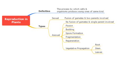 Plant Reproduction Concept Map