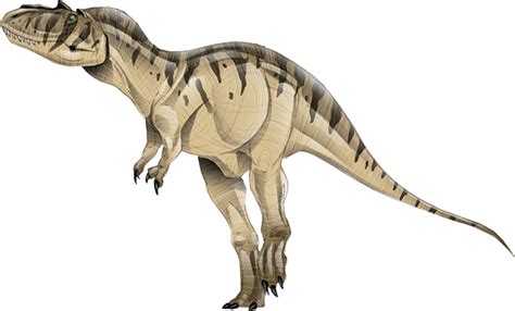 Albertosaurus - The Montana Dinosaur Trail