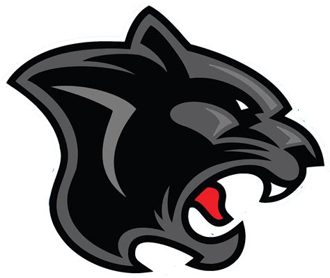 Panther PNG Transparent Images - PNG All