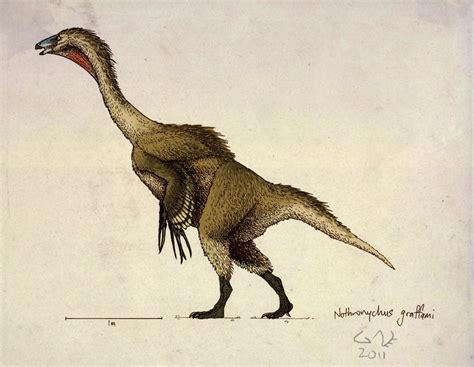 Nothronychus graffami | Prehistoric animals, Paleo art, Dinosaur art