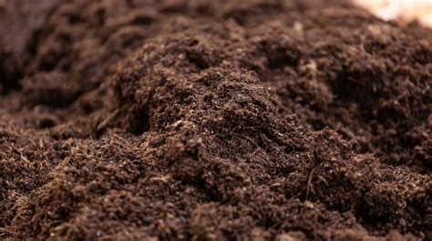 What’s The Difference Between Top Soil & Garden Soil? - Wellers Hill Hardware