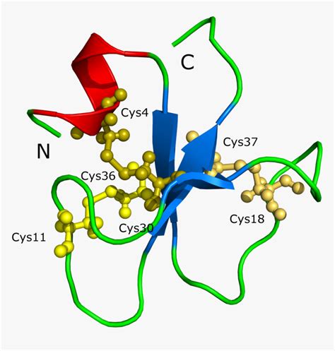 Inland Taipan Venom Chemical Structure, HD Png Download - kindpng