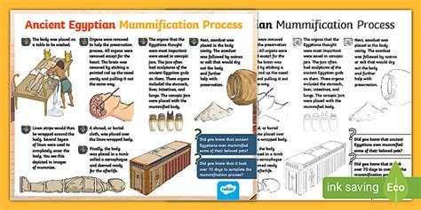 Ancient Egyptian Mummification Process Poster - Twinkl