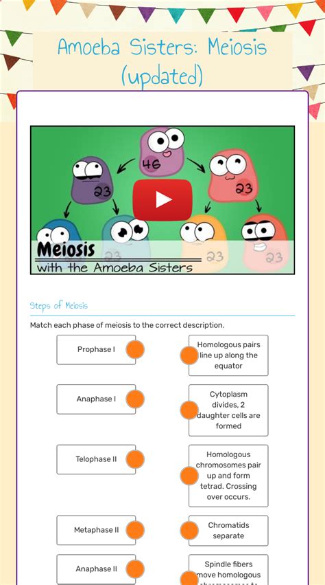 Amoeba Sisters Mitosis Vs Meiosis Challenge Quizizz | Porn Sex Picture