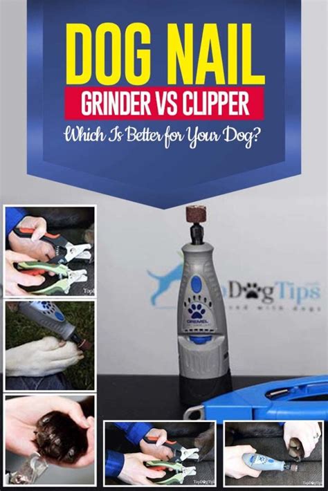 Dog Nail Grinder vs Clipper: Which Is Better for Dogs?