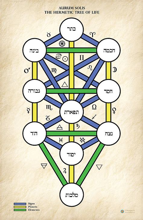 The Hermetic Tree with the Elements Planets and Signs Digital Art by ...