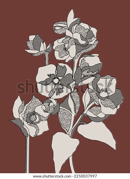 Helleborus Flowers Illustration Vector Minimal Art Stock Vector ...