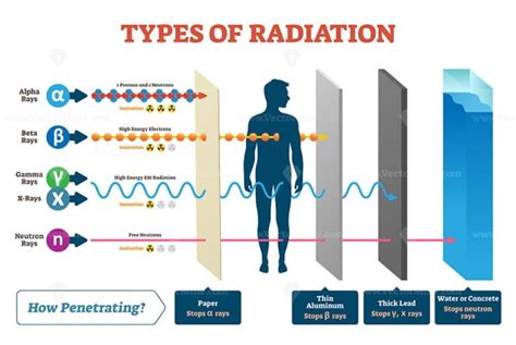 Types of radiation vector illustration diagram and labeled example ...