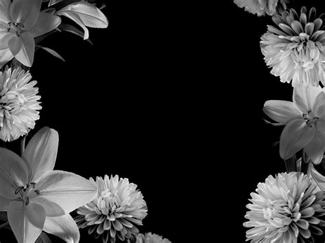 Black Background Flowers ~ DESEMBARALHE