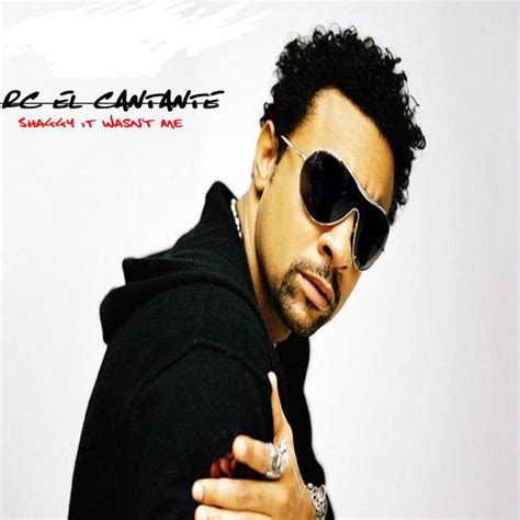 Shaggy It Wasn't Me - song and lyrics by Rc El Cantante | Spotify