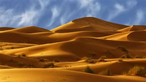 Misteriusnya Gurun Sahara Mitos Padang Pasir Tandus - Berita Aneh dan ...