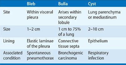 Bullous Disease of the Lung | Thoracic Key