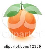 Black And White Orange And Pear On Grapes Posters, Art Prints by - Interior Wall Decor #1120129