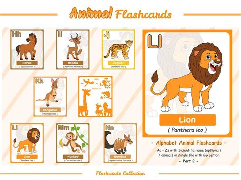 Alphabet animal flashcards part 2 17263305 Vector Art at Vecteezy