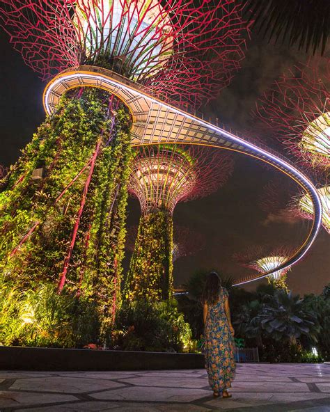 Gardens By The Bay Light Show - Free Things To Do In Singapore