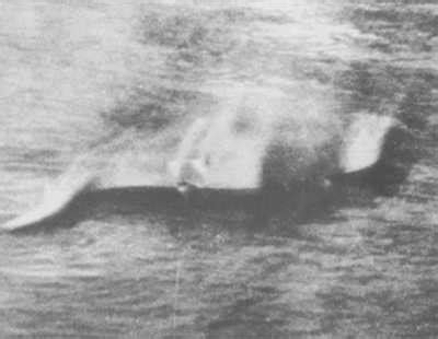 1933: The first known footage of the Loch Ness monster | History.info