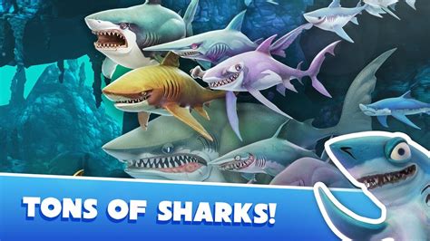 Hungry Shark Evolution Trivia | Fandom