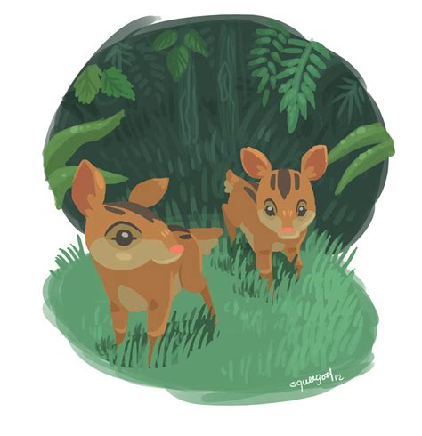 Philippine mouse deer