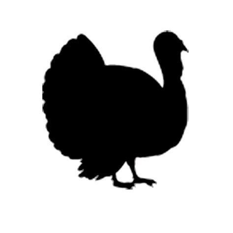 Free Turkey Silhouette Svg