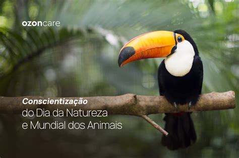 Conscientização do Dia da Natureza e Mundial dos Animais - Philozon