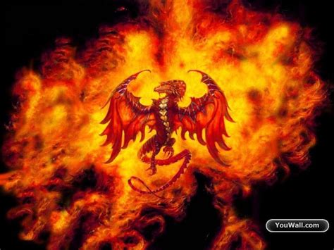 Fire Dragon Wallpapers - Top Free Fire Dragon Backgrounds - WallpaperAccess