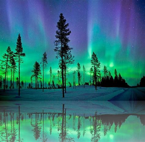 Northern Lights | Sweden | My Style | Pinterest