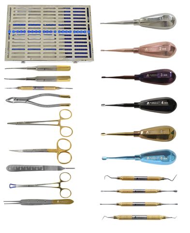 Veterinary Dental Instruments - Sets – Dr Bretts Pets