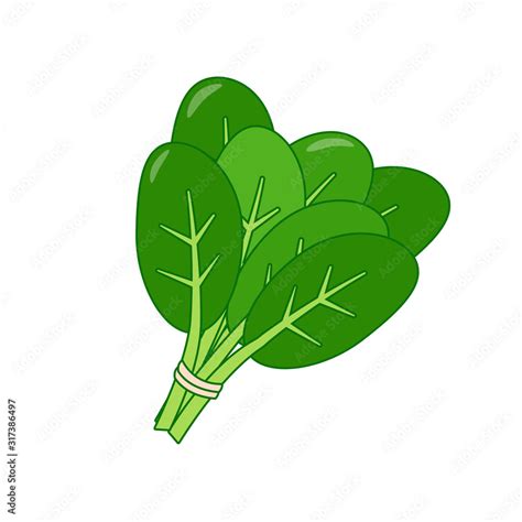 Bunch of spinach vector illustration in cartoon style isolated on white ...