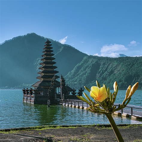 Bali Temple Flower Photograph by Jenware Photography - Fine Art America