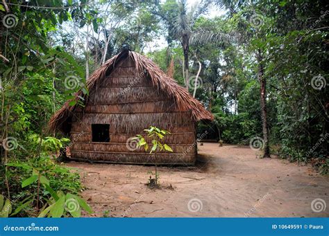 Amazon Rainforest Tribe Huts