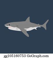 900+ Royalty Free Shark Vector Illustration Vectors - GoGraph