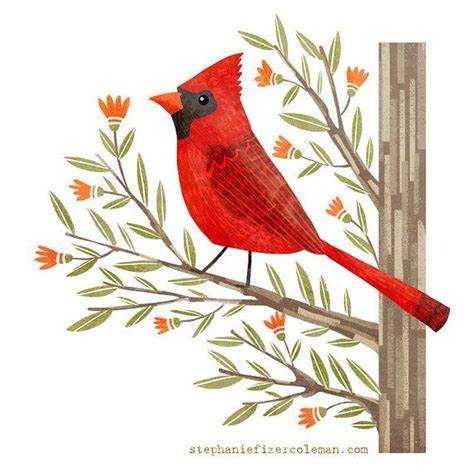 Cardinal Print bird art bird art 52 birds by StephFizerColeman | Bird art, Bird illustration ...