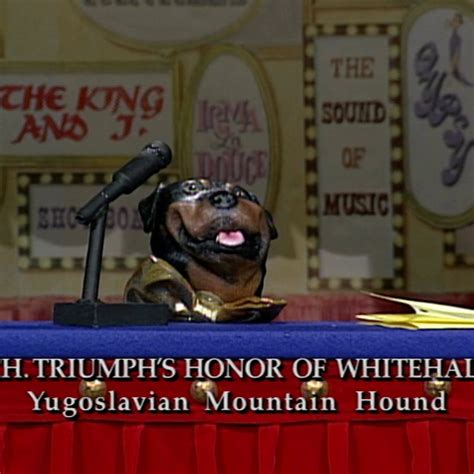 Triumph The Insult Comic Dog's First Appearance | Conan Classic