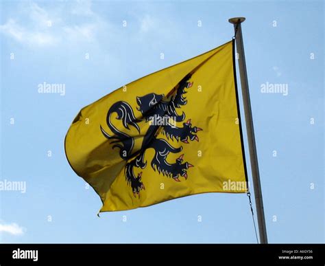 Flemish flag hi-res stock photography and images - Alamy