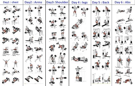 Bodybuilding Workout Chart With Images | EOUA Blog