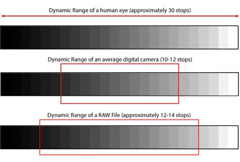 Dynamic Range của máy ảnh là gì ? | Tạp chí nhiếp ảnh