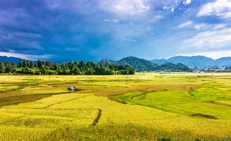 Ziro Valley Arunachal Pradesh : Paradise cradled by the Majestic Mountains