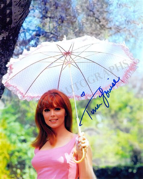 Tina Louise Autograph Photograph in Gilligan's Island – Tamino