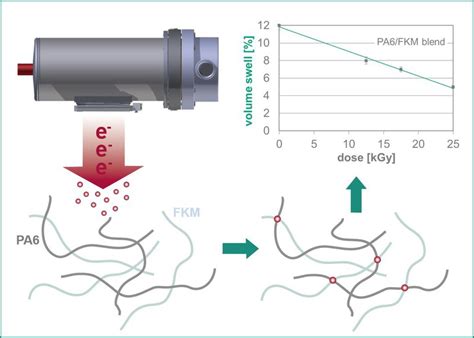 Design and properties of high-performance polyamide 6/fluoroelastomer blends by electron-induced ...