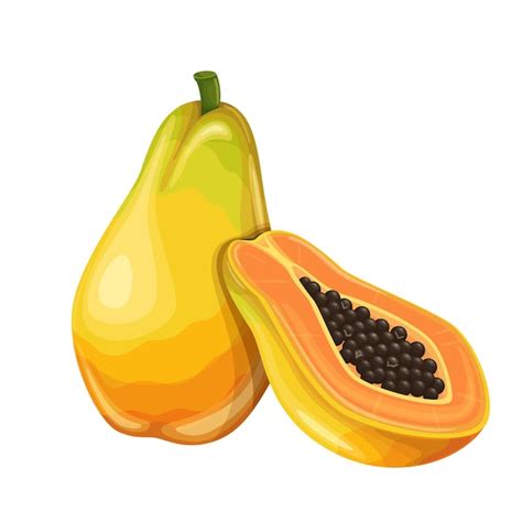 Premium Vector | Papaya fruit in cartoon style.