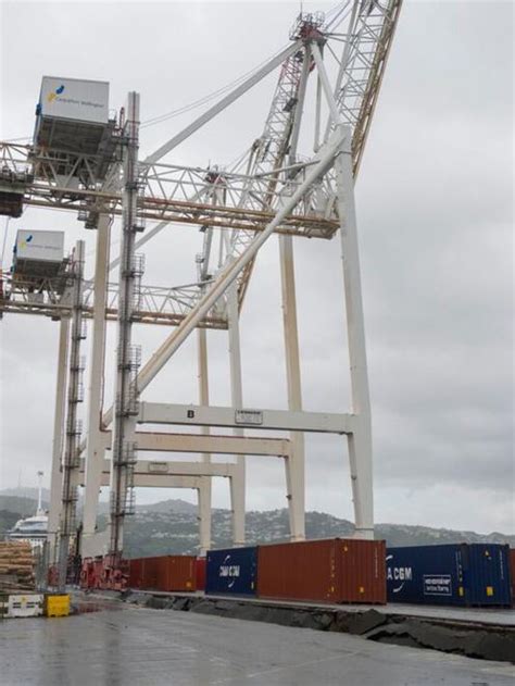 Cranes will be defunct for months | Otago Daily Times Online News