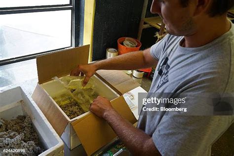 Operations Inside The Imperial Tropicals Freshwater Fish Farm Photos ...