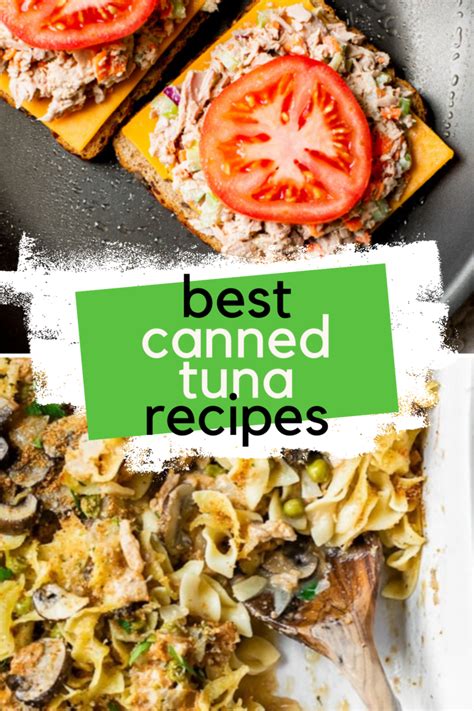 13 Best Canned Tuna Recipes – RecipeRefinery.com