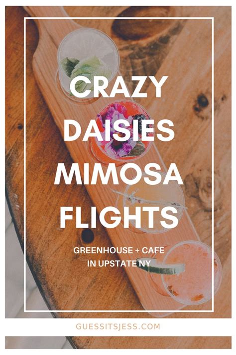 Crazy Daisies Syracuse | Greenhouse cafe, Outdoor greenhouse, Mimosa